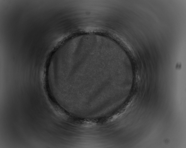 X0000102820592200809081133