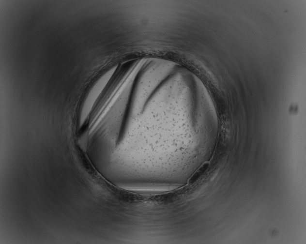 X0000102820593200809081132