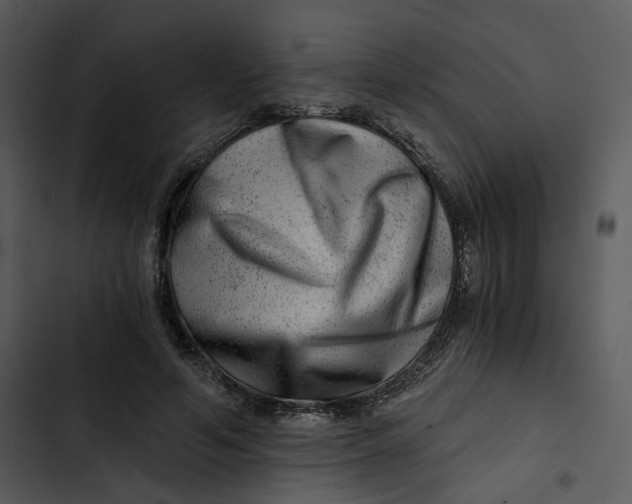 X0000102820594200809081132