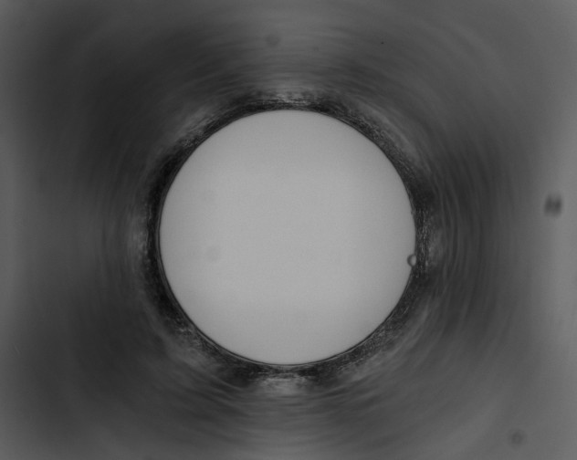 X0000102820595200809081132