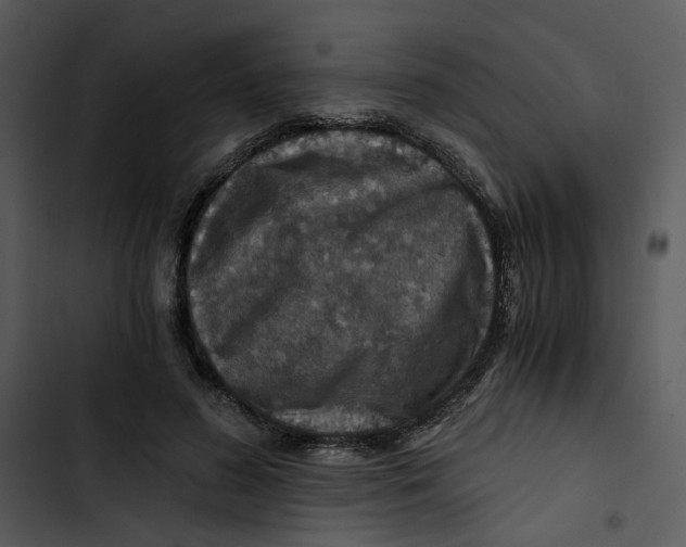 X0000102820596200809081132