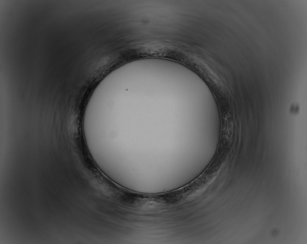 X0000102820597200809081132