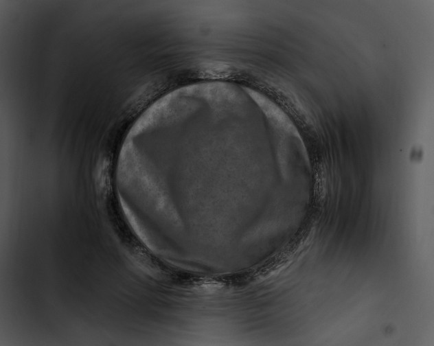 X0000102820598200809081132