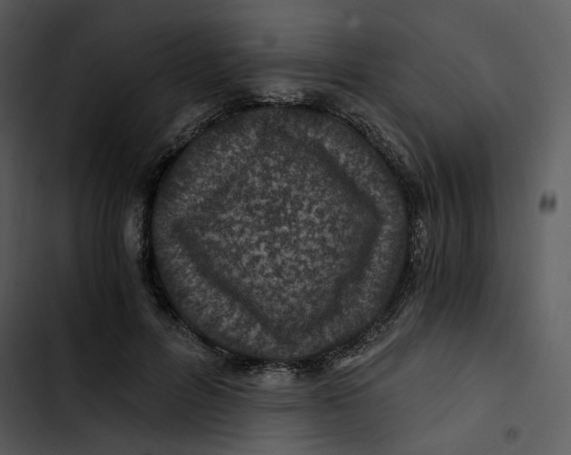 X0000102820600200809081132