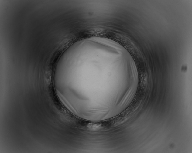 X0000102820602200809081132