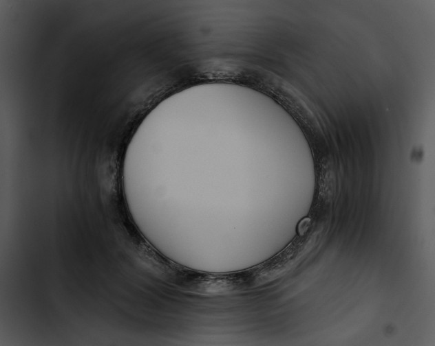 X0000102820604200809081132