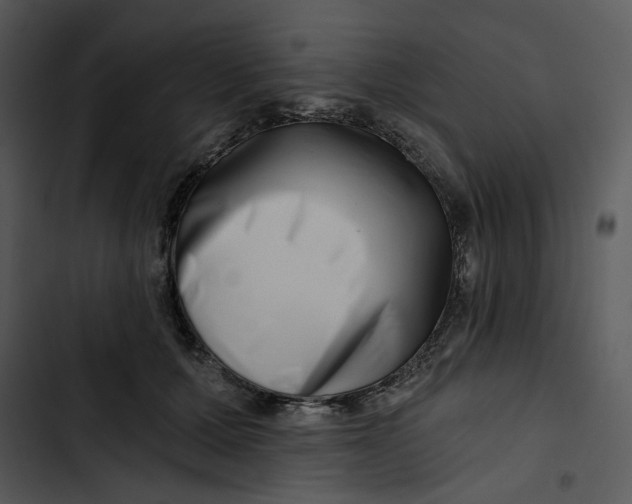 X0000102820607200809081132