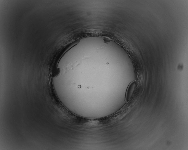 X0000102820609200809081132