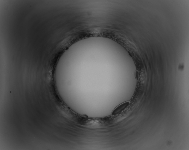 X0000102820611200809081132