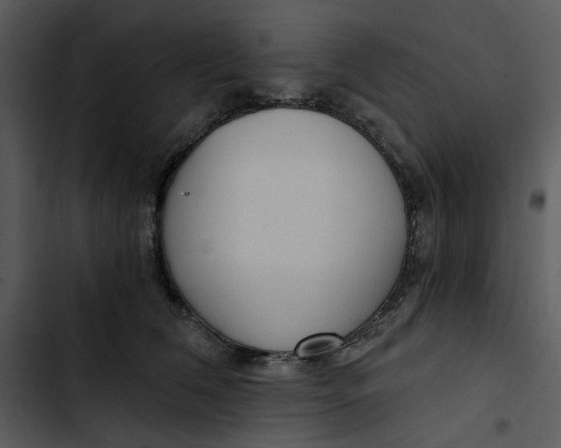 X0000102820612200809081132