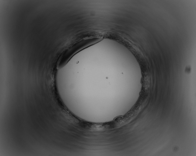 X0000102820613200809081132