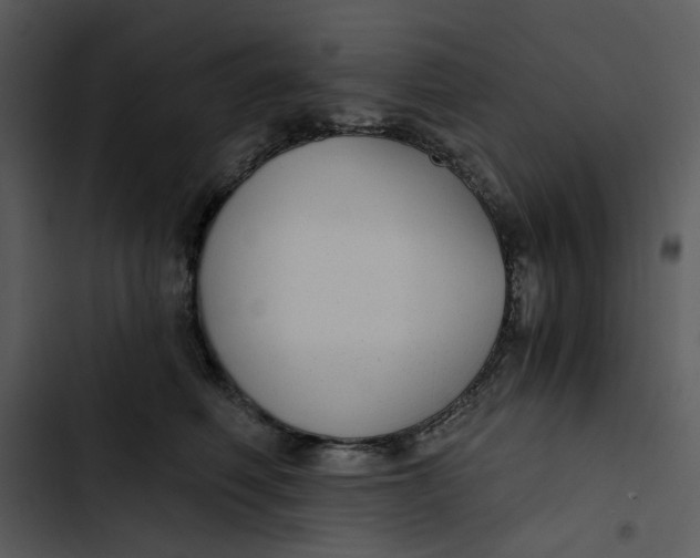 X0000102820614200809081132