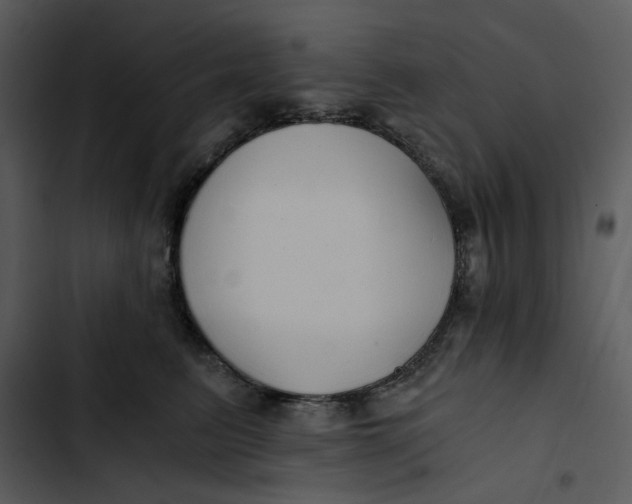 X0000102820615200809081132