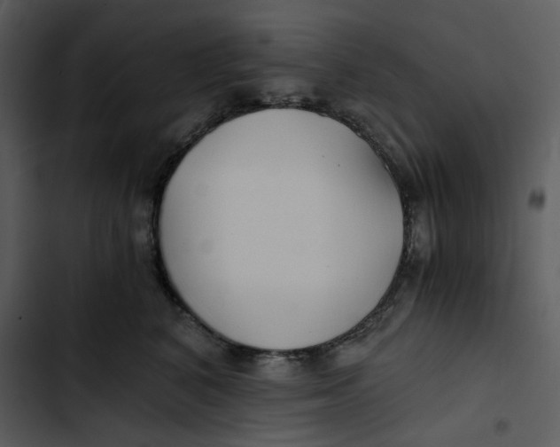 X0000102820616200809081132