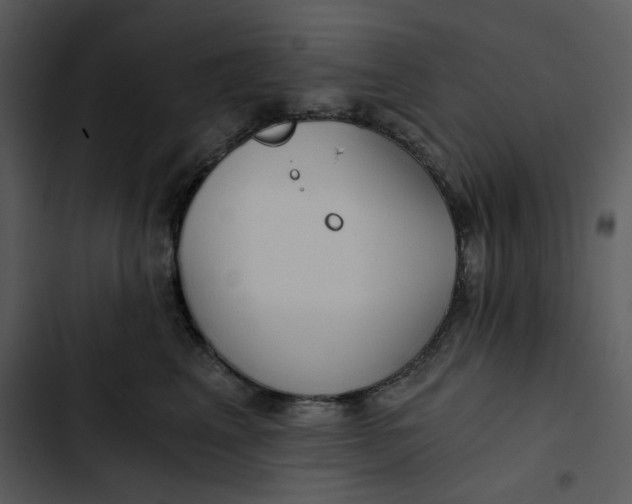 X0000102820617200809081132