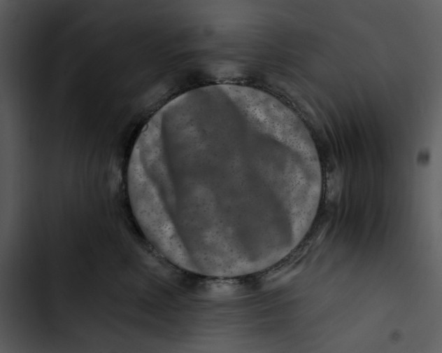 X0000102820618200809081132