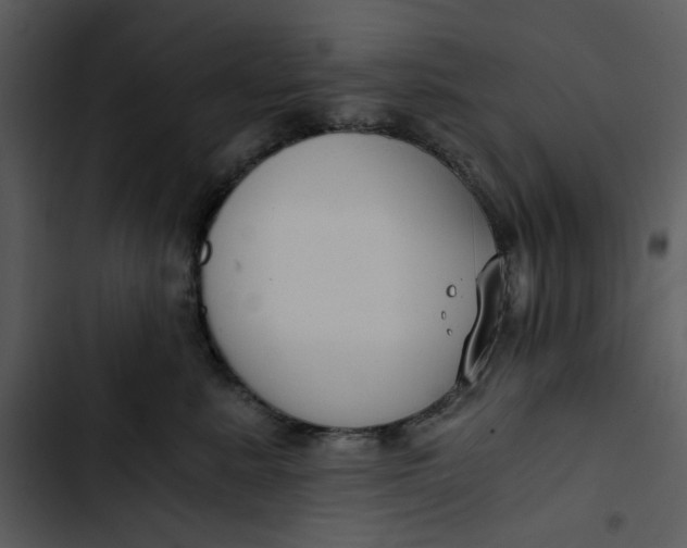 X0000102820619200809081132