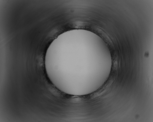 X0000102820620200809081132