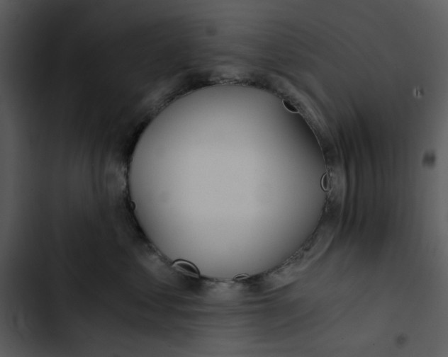 X0000102820621200809081132