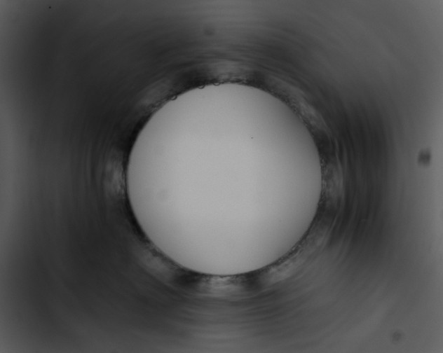 X0000102820622200809081132