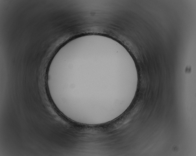 X0000102820625200809081131