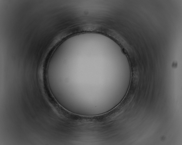 X0000102820626200809081131