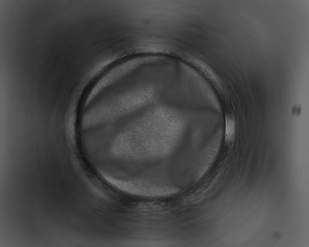 X0000102820627200809081131