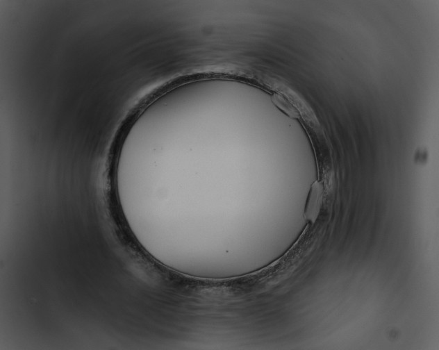 X0000102820628200809081131