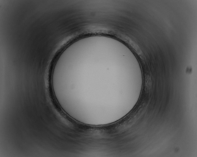 X0000102820629200809081131