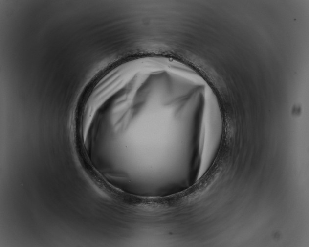 X0000102820630200809081131