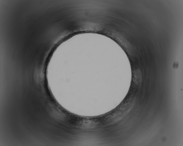 X0000102820632200809081131