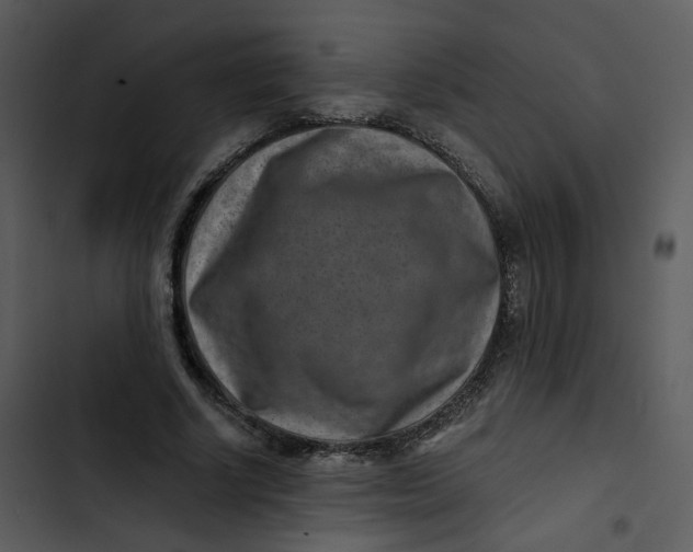 X0000102820634200809081131