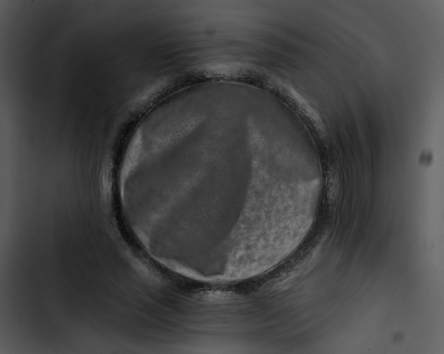 X0000102820637200809081131