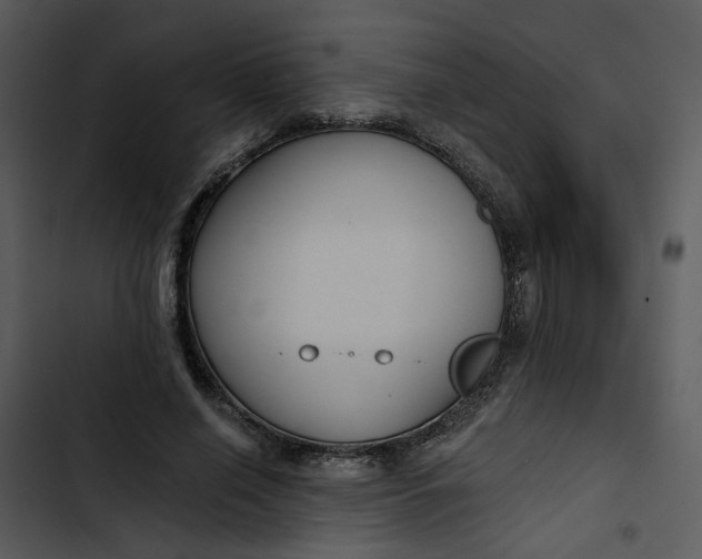 X0000102820638200809081131