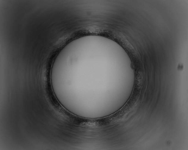 X0000102820639200809081131