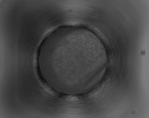 X0000102820640200809081131