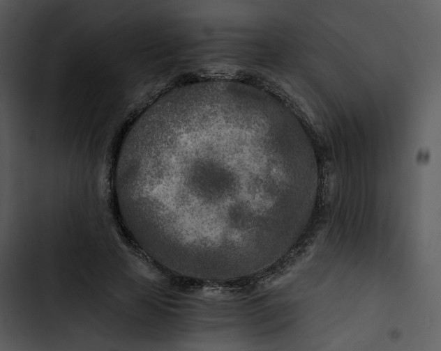 X0000102820641200809081131