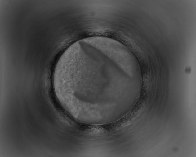 X0000102820642200809081131