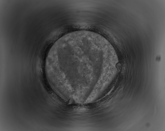 X0000102820643200809081131