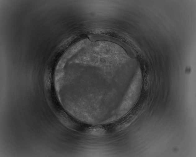 X0000102820644200809081131