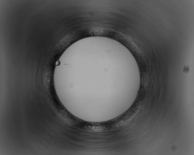 X0000102820645200809081131