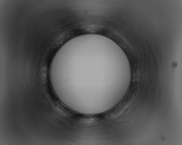 X0000102820646200809081132