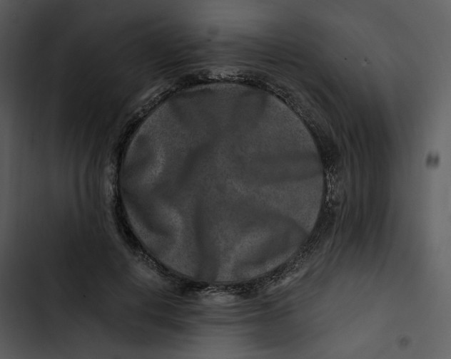 X0000102820648200809081132