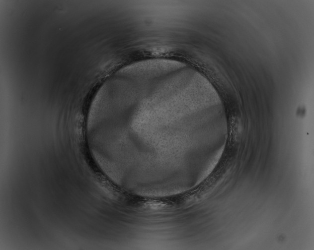 X0000102820650200809081132