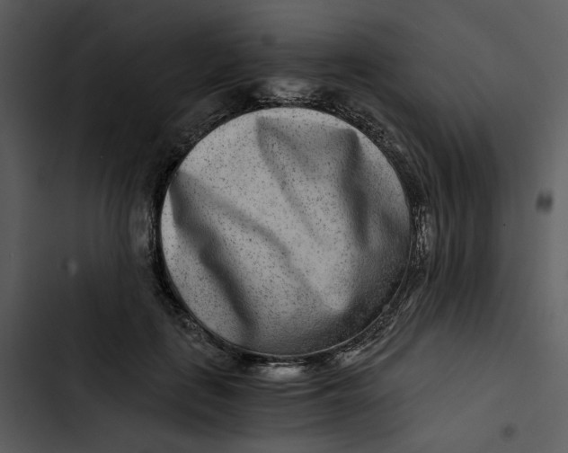 X0000102820651200809081132