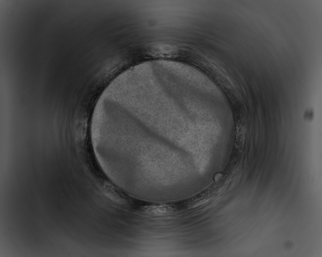 X0000102820652200809081132