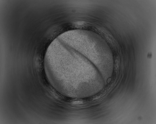 X0000102820653200809081132