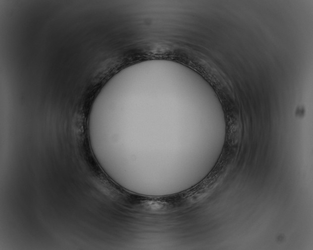 X0000102820654200809081132