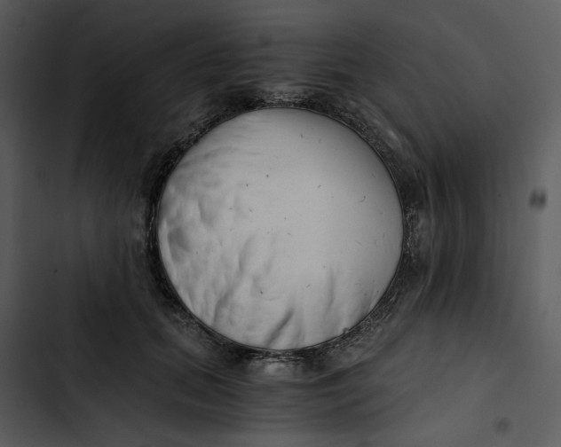 X0000102820655200809081132