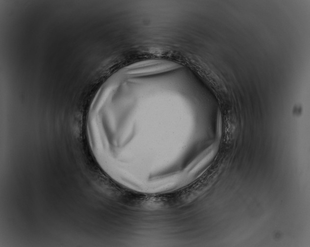 X0000102820656200809081132